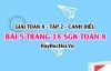 Bài 5 trang 18 Toán 8 Tập 2 Cánh Diều